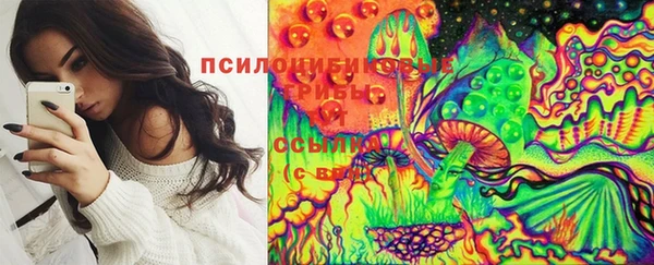 сатива Алзамай