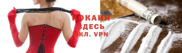 твердый Алексин