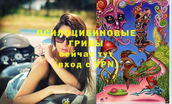 соль курить ск Алексеевка