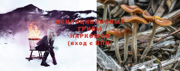 сатива Алзамай
