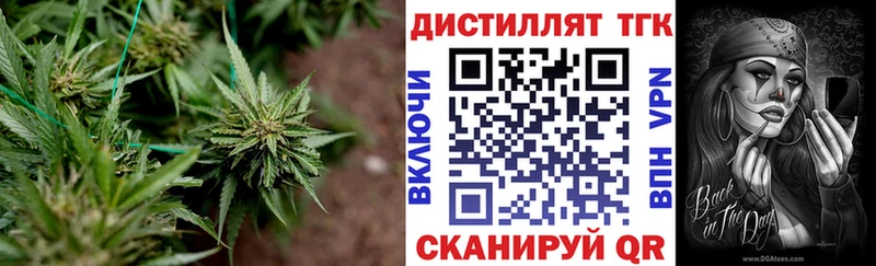 Дистиллят ТГК гашишное масло Купить Курск